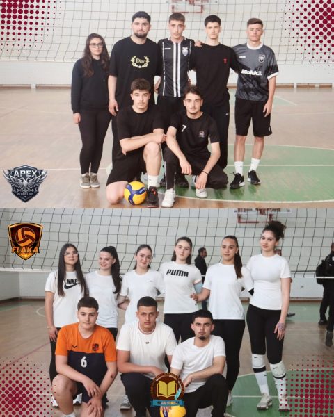 voleyball-game3